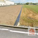 臺南新市十四米路旁方正農地