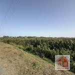 新營產業園區旁黃金地段都內農地