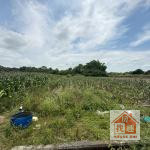 善化南科史上超便宜方正農地