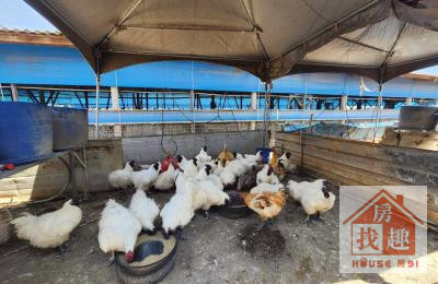 後壁竹圍後5.4分金羽良田