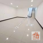 龍潭烏樹林【潛龍國小】全新整理大地坪雙車透天