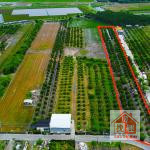 🌟屏東東港建安段/7.2分/臨路千坪方正農地