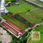 台南市善化區特優方正極美農地