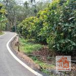 嘉義縣梅山鄉雙溪村優美農地